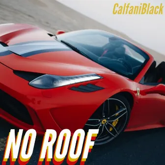 No Roof by Calfani Black