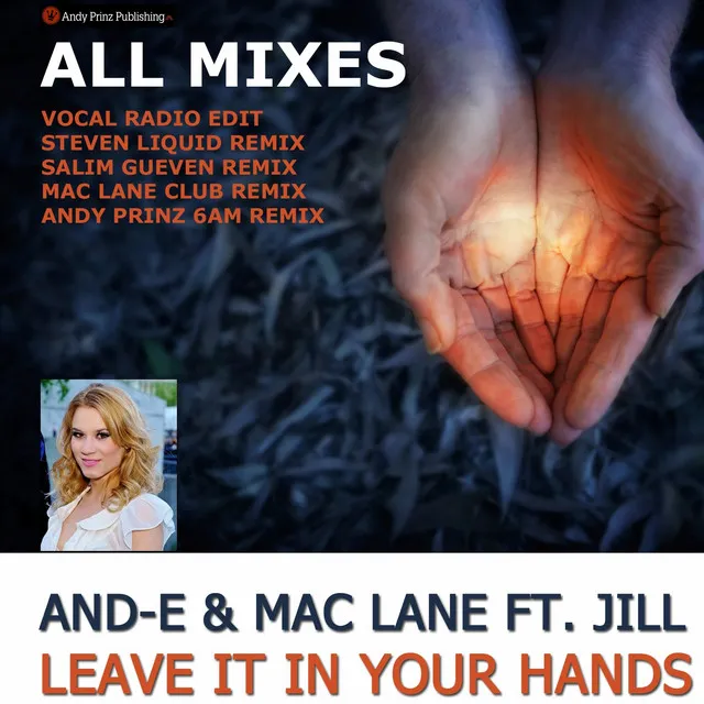 Leave It in Your Hands - Andy Prinz 6am Mix