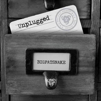 Unplugged by Big Fat Snake