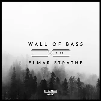 Wall of Bass by Elmar Strathe