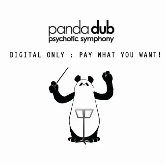 Psychotic Symphony by Panda Dub