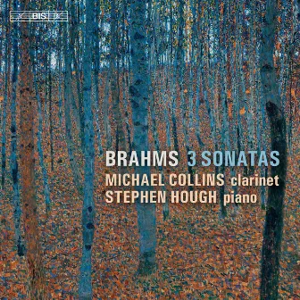 Brahms: 3 Sonatas by Michael Collins