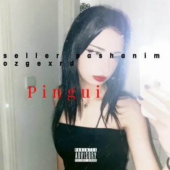 Pingui by seller pashanim