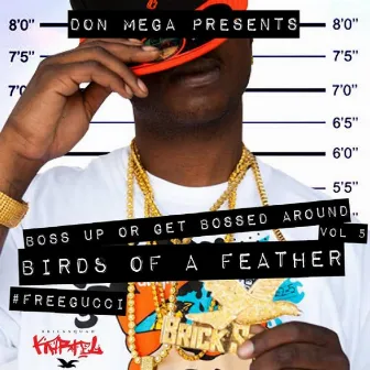 Birds of a Feather by Don Mega