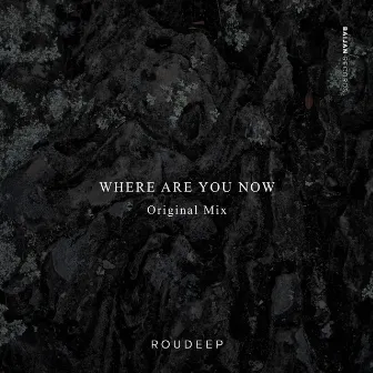 Where Are You Now by Roudeep