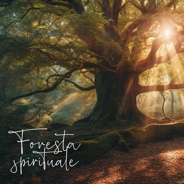 Foresta spirituale: Ambiente naturale per la meditazione profonda