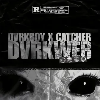 DVRKWEB by Catcher