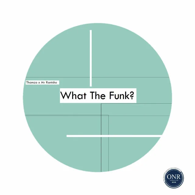 What The Funk? - The Boardmembers WTF Mix