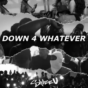 Down 4 Whatever by ShleeV