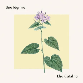 Una lágrima by Elsa Pulgar-Vidal