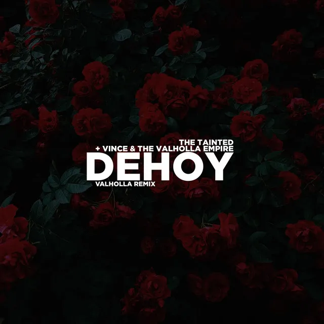 DEHOY - Valholla Remix