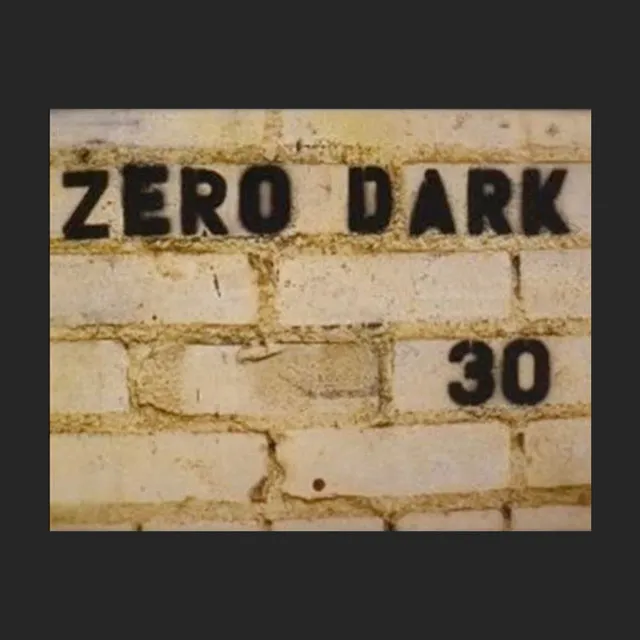 Zero Dark 30