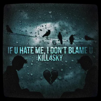 if u hate me, i dont blame u by kill4sky