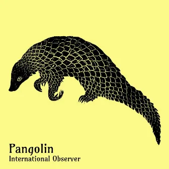 Pangolin by International Observer