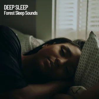 Deep Sleep: Forest Sleep Sounds by Sleep Nature Sounds