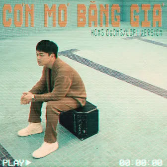 Cơn Mơ Băng Giá (Lofi Version) by Hồng Dương