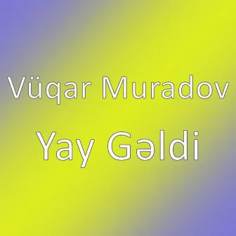 Yay Gəldi by Vüqar Muradov