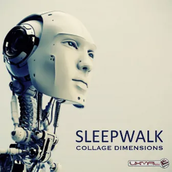 Collage Dimensions by Sleep Walk