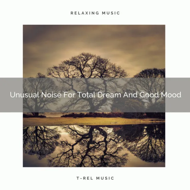 Unusual Noise For Total Dream And Good Mood