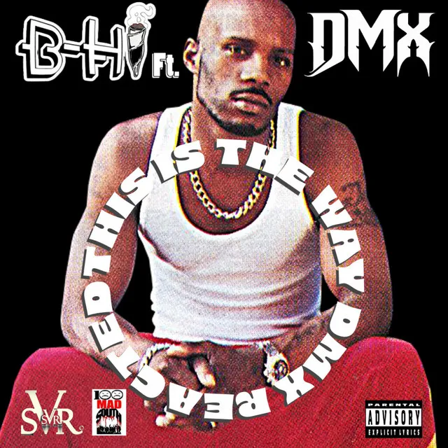 This is the Way DMX Reacted