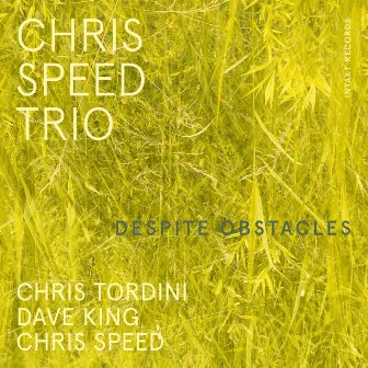 Despite Obstacles by Chris Speed Trio