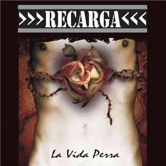 La Vida Perra by RECARGA