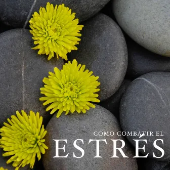 Como Combatir el Estres by Relaxing Music House