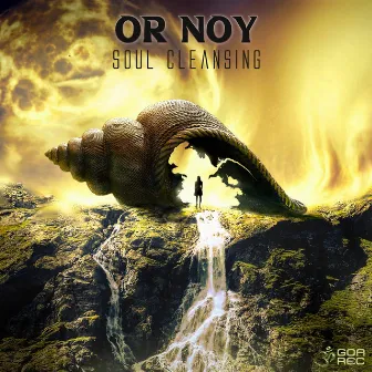 Soul Cleansing by Or Noy