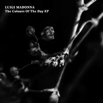 The Colours of the Day EP by Luigi Madonna