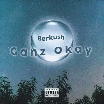 Ganz okay by Berkush