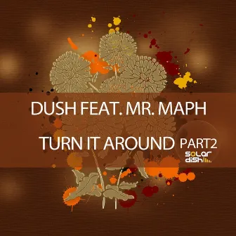 Turn It Around (Part 2) by Dush