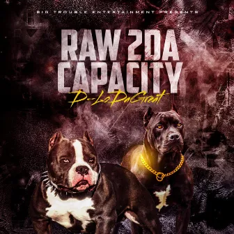 RAW 2da Capacity by D-LoDaGreat