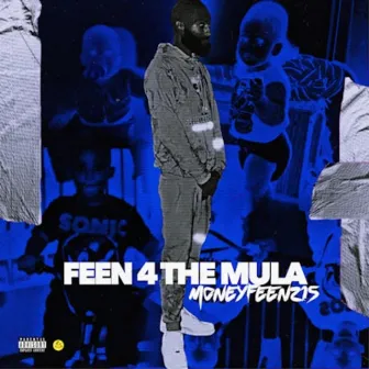 FEEN 4 THE MULA by Moneyfeen215