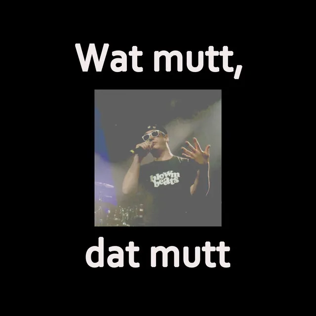 Wat mutt, dat mutt - Radio Edit