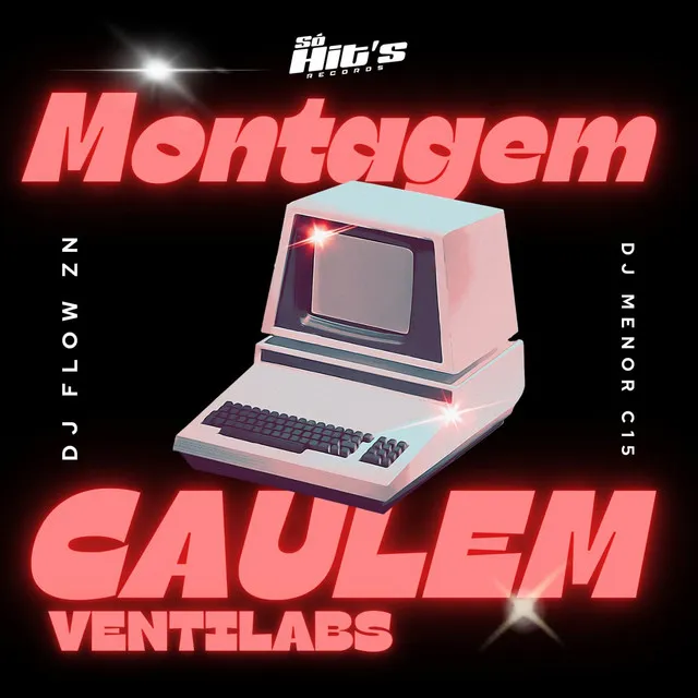 Montagem Caulem Ventilabs