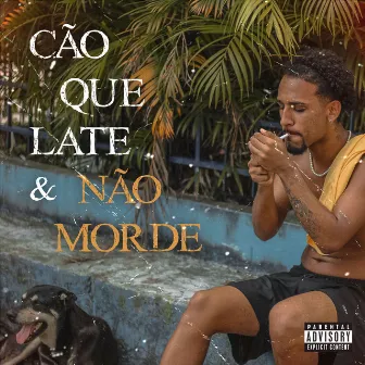 Cão Que Late & Não Morde by Bblt8