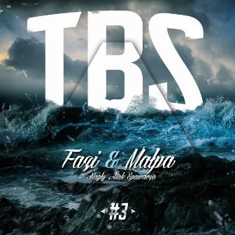 TBS 3 by Małpa