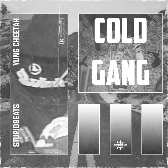 COLD GANG