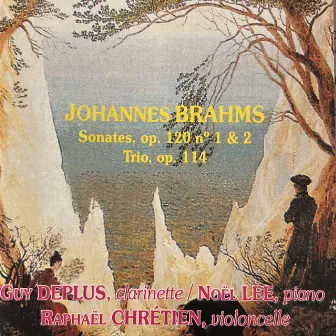 Johannes Brahms - Sonates et Trio by Guy Deplus