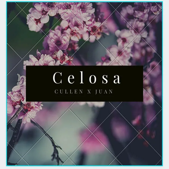 Celosa