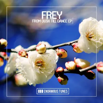 From Dusk Till Dance EP by FREY