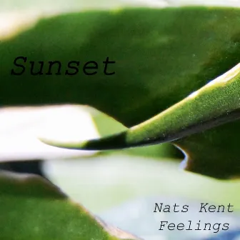 Sunset by Nats Kent Feelings