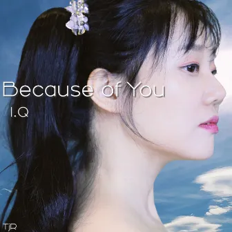 Because of You by I.Q