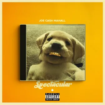 Spectacular by Joe Cash Mahall