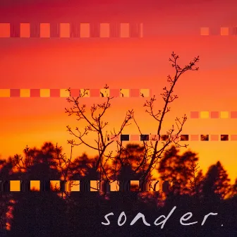 Sonder by TORN