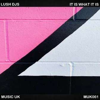 It Is What It Is by Lush Djs