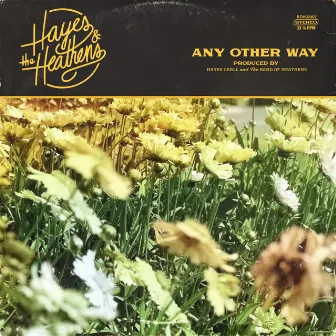 Any Other Way by Hayes & The Heathens