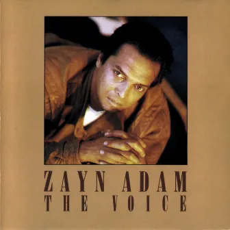 The Voice by Zayn Adam