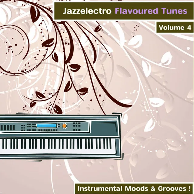 Jazzelectro Flavoured Tunes Vol. 4 - Instrumental Moods & Grooves!