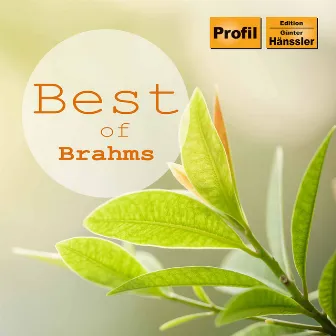 Best of Brahms by Andreas Rothkopf